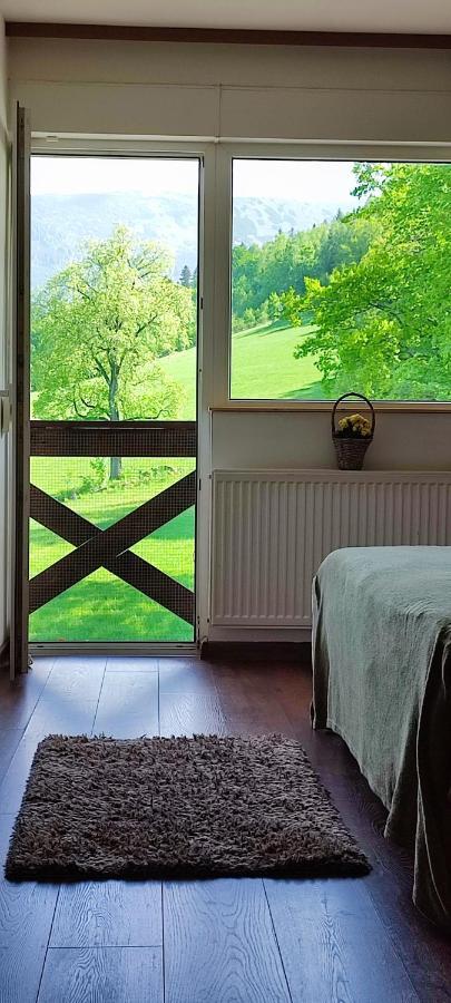 Gorski Widok Karpacz Apartamenty I Pokoje- Salon Kominkowy מראה חיצוני תמונה