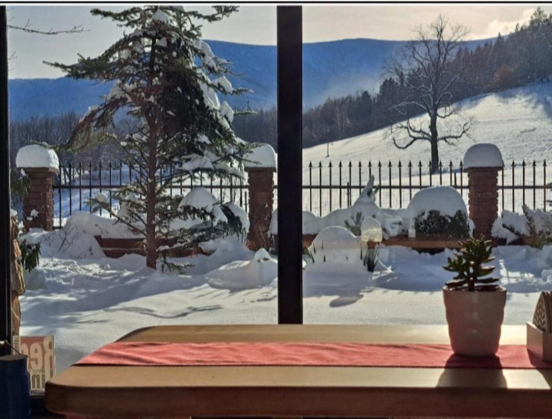 Gorski Widok Karpacz Apartamenty I Pokoje- Salon Kominkowy מראה חיצוני תמונה